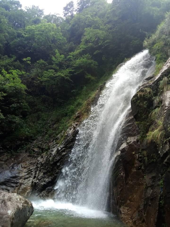 篮球大师